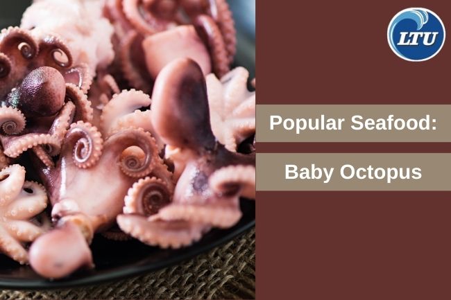 Why Baby Octopus is a Popular Seafood in Various Dishes